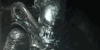AVP-Universe's avatar