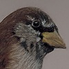 Awro89's avatar