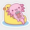 AxolotlJia