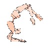 ayalpinkus's avatar