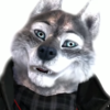 Aylathewolf's avatar