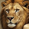 BabLionLover's avatar