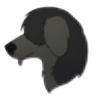 BAD-D0GZ's avatar
