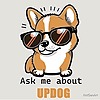 Baddogggg's avatar