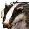 Badgerhead07's avatar