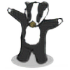 BadgerInABox's avatar