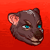 BadRaptorShen's avatar