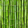 BambooArts's avatar