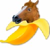 BananaHoorse's avatar