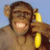 Bananimation's avatar