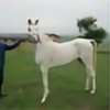 Baraka-Arabians's avatar