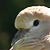 BarbaryDove's avatar