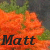 BarefootMatt's avatar