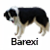 Barexi's avatar