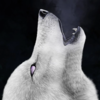 baRoguing's avatar