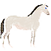 BarrenLand's avatar