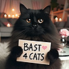 bast4cats's avatar