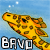 Bavo's avatar