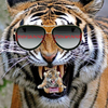 BboySupaFlava's avatar
