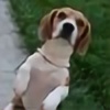 BeaglePicture's avatar