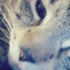 BeanBeep's avatar