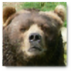 BearBonz's avatar