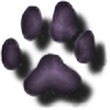 bearcatsandor's avatar