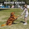 beatrizbarata01's avatar