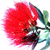 beckapbbs's avatar