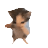 Sally Png 8 by Kylewithem on DeviantArt