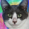 BeerLoco's avatar