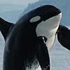 BeezoBuzz's avatar