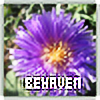 BeHaven's avatar