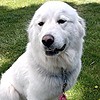 Belleofbeauty's avatar