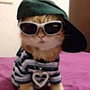 Bellmonty139's avatar