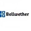 bellwethercorp's avatar