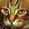 BenedictTheCat's avatar