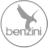 benzini9's avatar