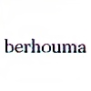 berhouma's avatar