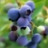 berrybluecreations's avatar