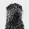 Berzinshski's avatar