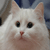 BESYA's avatar