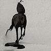 Betularia's avatar