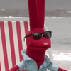 Bewilderb34st's avatar
