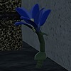 BFDIFan1234's avatar