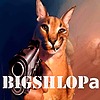 bigSHLOpa's avatar