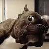 Bilobog's avatar