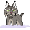 BingyBongo's avatar