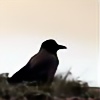 bird-of-light's avatar