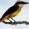 Bird-plz's avatar
